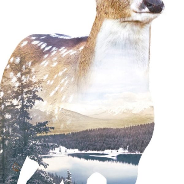 Poster de renard avec un fond de paysage